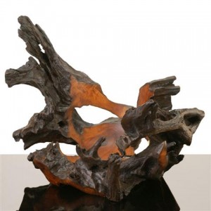 root 52 decorative (Small) root 52 decorative (Small)